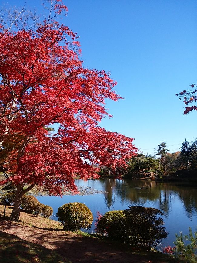 家の人からリクエストされていた紅葉狩り。どうせなら行った事がない所へ行こうと、お出かけサイトで見頃となっていた花と歴史の郷　蛇の花の紅葉をメインに福島県へ行ってきました。