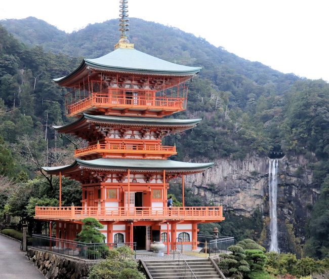 熊野詣でのハイライトは、熊野古道・大門坂から熊野那智大社、那智山青岸渡寺、三重塔、那智の滝を巡る約2.5kmのルートです。自然崇拝、先祖崇拝、神仏習合など全部揃った日本信仰の聖地で、熊野でも一番人気の霊場です。<br /><br />数多くの参詣者がたどった大門坂は、鬱蒼とした杉林が続く約600mの石畳の道で、樹齢800年の夫婦杉や大楠、熊野九十九王子の最後の王子社「多富気王子」などが見どころで、古道の雰囲気を色濃く残す参詣道です。<br /><br />神話の神々を祀る朱塗りの社殿群が並ぶ熊野那智大社、西国三十三所の第一番札所の那智山青岸渡寺にお詣りし、三重塔を通って那智の滝に、太古から神として崇められてきた落差133mの日本一の大滝を拝みます。<br /><br />参考; 世界遺産「紀伊山地の霊場と参詣道」には、中辺路、熊野那智大社、青岸渡寺、那智大滝が含まれています。<br />