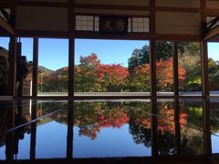 ワンコと旅行♪紅葉を求めて…群馬へ【後編】宝徳寺の床もみじ鑑賞！