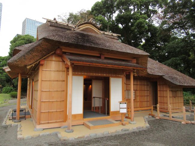 築地場外市場から浜離宮恩賜庭園に廻り込みました。<br />紅葉にはまだ早い時期で彩る花にもあまり出会えなかった園内ですが、大都会の中の憩いの場所です。<br />浅草(お台場)まで行ける水上バスの発着所もあるので、徳川将軍家の庭園&隅田川クルーズ&浅草といういかにも日本っぽい観光地を繋ぐ起点にもなっています。<br />擦れ違うのは外国人ばかりでしたが私たち日本人にも格好の観光ルートだとイチ押しです。<br />