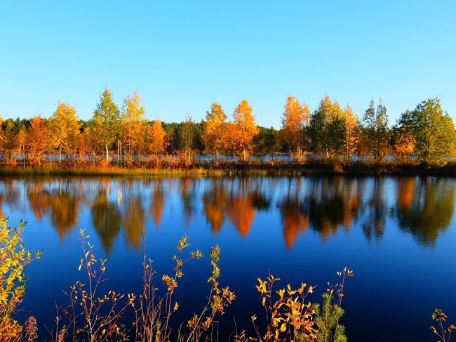 フィンランドの紅葉「ルスカ」のシーズンを狙ってオーロラ鑑賞と贅沢に。その後はヘルシンキでお買い物。<br /><br />極寒の中でなくてもオーロラが見られる!寒がりにはもってこい。2週間というルスカの時期を狙ってWで楽しめる最高の時期。オーロラツアーにありがちな日中どうしよう問題もなく真冬と違って日中も楽しめる、夜早めの時間にオーロラが出現するからカナダのように深夜まで起きている必要もなく身体が楽。ラップランドは雲さえなければ8月から4月までオーロラが見られるらしいですよ。