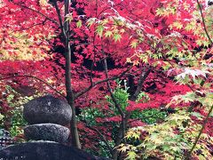 湖東三山の紅葉めぐり 「血染めの紅葉」はマジ赤い