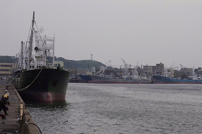 　銚子漁港でバードウォッチングを楽しみました。<br /><br />表紙写真は、銚子漁港の風景です。<br /><br />