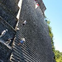 メキシコが誇る7つの世界遺産と感動の地巡り　4日目の１　ウシュマル遺跡