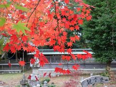 琵琶湖をぐるっと紅葉巡りのはずがちょっと早くで残念