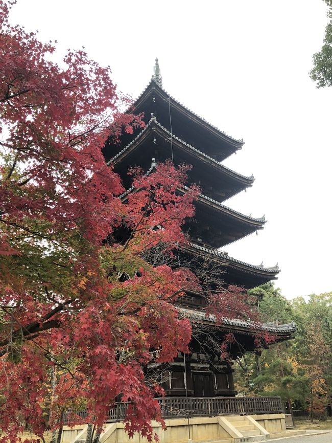 世界遺産の仁和寺の裏山に御室88ヶ所と言われる巡礼の山があり、わずか２時間ほどでめぐれます。<br />そのありがたい成就山に行きました。