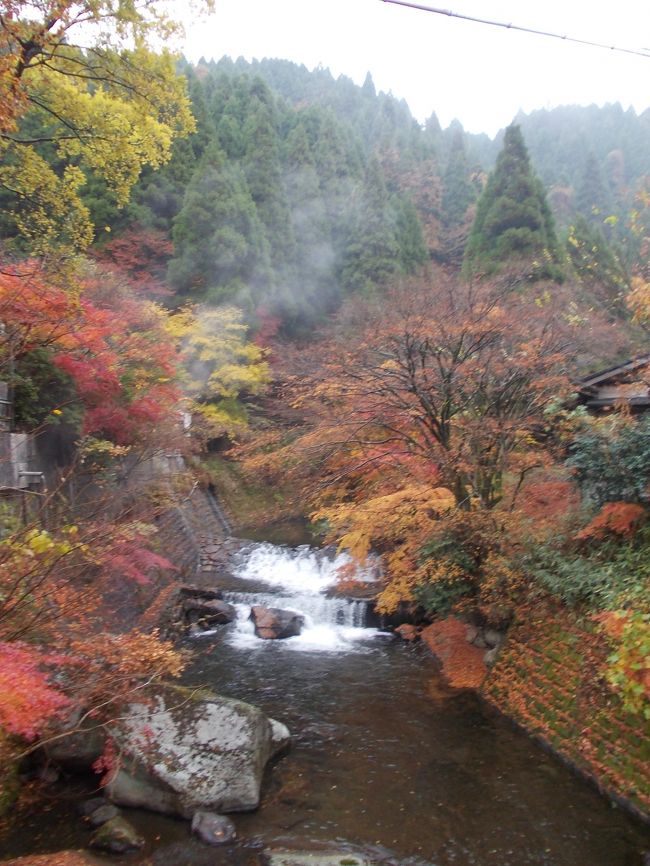 秋の大分熊本湯巡り旅の三日目です。<br />この日は朝からあいにくの天気。朝から移動して一気に熊本県の黒川温泉へ。<br />この辺りは紅葉が非常にきれいに色づき、紅葉と湯けむりの素晴らしい風景を見ることができました。<br />