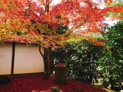 ２０１８年１１月　紅葉狩りとエクシブ京都八瀬離宮で過ごす休日♪～「金福寺」～「グリルにんじん」でランチ～「圓光寺」～「タンドレス」のスイーツ～