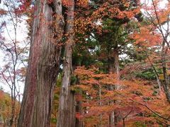 広島☆佛通寺の紅葉とカフェめぐり