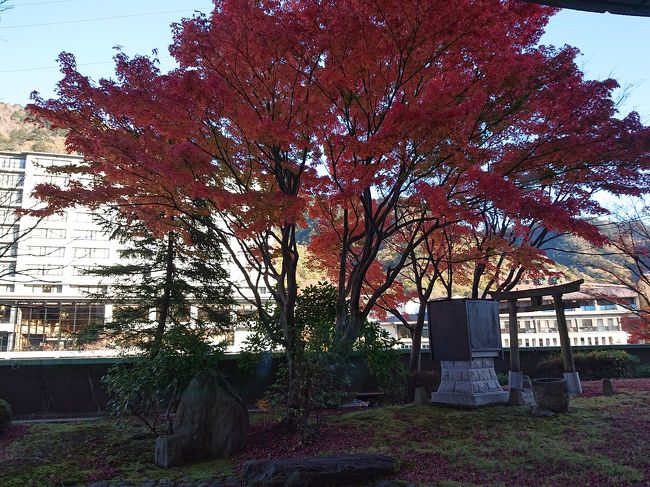 先週に引き続きまたまた紅葉狩りに鬼怒川温泉へ