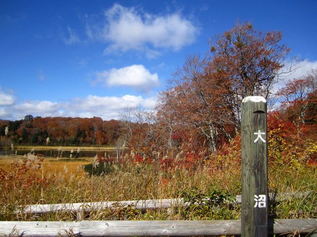 昨年は中野もみじ山の紅葉を見に行ってきましたが、今年はまだ見たことのなかった、八幡平大沼の紅葉を見に行くことにしました。その日は晴天！ネットでは見頃のはずが、行ってみたところが見頃は少し過ぎていたようでした。<br /><br /><br />