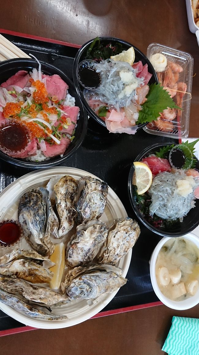 淡路島日帰り!道の駅あわじで生しらす丼を食べてきました!
