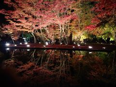 曽木公園の逆さ紅葉にちょー感動