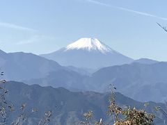 高尾山紅葉ハイキング