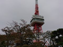 馬頭温泉に行きました。「宇都宮散策と美人の湯で寛ぎの旅」(2018.10・南平台温泉ホテル)  part1