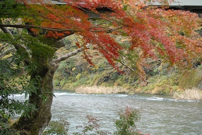 ヤット故郷奥多摩渓谷にも紅葉のシーズンが<br /><br />今回は奥多摩渓谷を３ヵ所にわけて素晴らしい紅葉を/<br /><br />先ず第１編として鳩ノ巣渓谷周辺を<br />