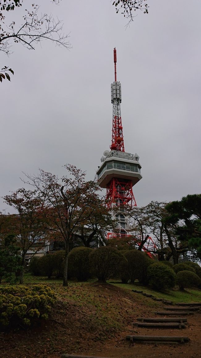 2018年10月13日から14日､栃木県那須郡那珂川町の馬頭温泉に行きました。<br />今回は特急や新幹線に乗らずに普通電車でのお出掛けです。<br />宇都宮経由で周辺散策と昼食に餃子を食べて､馬頭温泉の南平台温泉ホテルさんに向かいました。<br />実は昨年の11月に同じような計画を立て､謂わばリピートの旅になります。<br />連れのぶーさんオススメの宇都宮西口駅前の「餃天堂」さんで､開店間もなく並ばずして少々早い昼食をとりました。<br />もちっとした食感でインパクトがあり､私もファンになりました。<br />昨年は1時間以上並んで大変な思いをした為､今回は時間を繰り上げそれが功を奏しました。<br />その後は大通りを進み宇都宮二荒山神社を経て､宇都宮タワーのある八幡山公園に行きました。<br />食後のいい運動？になりました。<br />バスで宇都宮駅に戻りJR宇都宮線で氏家駅､そこからはお宿の送迎でチェックインしました。<br />この南平台温泉ホテルさんはとにかく温泉が印象的でした。<br />アルカリ性の単純泉でとろっとろっです。<br />手指消毒剤を手にとったような感じです。<br />美肌・美人の湯という所以も納得しますね。<br />2回目で安心感ある今回の旅行は､連れのぶーさんと40回に至りました。<br /><br />訪れたお宿：南平台温泉ホテル<br />訪れた場所：宇都宮二荒山神社､八幡山公園<br /><br /><br />