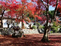 今年も丹波･篠山の紅葉巡りに出かけてきました