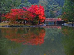 橙色のいわき　池に映る秋　白水阿弥陀堂