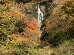 1年ぶりだね　松葉かに　1日目