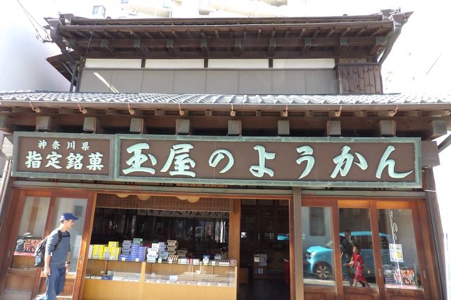 　藤沢市片瀬海岸1にあるすばな通りは江ノ電の江ノ島駅や湘南モノレールの江の島駅から、江の島に架かる江の島弁天橋に向かう江島神社詣での昔からの街道である。小田急片瀬江ノ島駅はすばな通りの外れから境川に架かる弁天橋を渡ったところにあり、江の島の表玄関としては距離が近い。<br />　すばな通りにはどこにでも見られる近代建築の店舗ばかりであり、玉屋さんをはじめ数軒だけは昭和レトロな雰囲気を残している。また、すばな通りの道路下から掘り出された江の島弁財天道標も移設されて建てられている。<br />　すばな通りは歩道がない一方通行の道路であり、多くの観光客が通る中を車も通る。<br />　すばな通りから西に小路があり、住民の方に富士山が見えるか尋ねると、前は二階から見えたが、今はマンションの影になって富士山は見えなくなったという。かつてはすばな通り沿いには旅館が多くあったというが、今はシェアハウスができているという。宿坊が旅館に変わり、民宿ができた時代もあったが、今ではシェアハウスなのだという。それにしても、昔からの観光地である江の島であるから、その対岸にも形を変えながらも宿泊施設があるのも不変なことなのかも知れない。<br />（表紙写真は羊羹の玉屋）