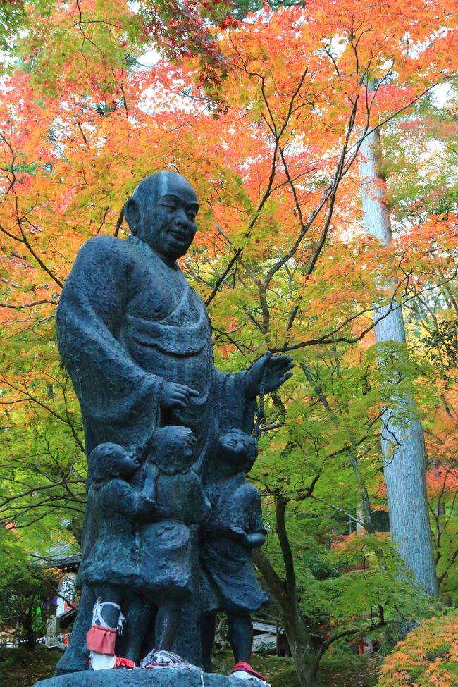 今週は京都へ紅葉狩り。<br /><br />色付きは少し足踏み。<br />木によって青葉から真っ赤で散り盛んの物までまちまち。<br /><br /><br />東福寺(とうふくじ)/通天橋(つうてんきょう)<br />今熊野観音寺(いまくまのかんのんじ)<br />泉涌寺 来迎院(らいごういん)<br />泉涌寺(せんにゅうじ)/御座所(ござしょ)庭園<br /><br />