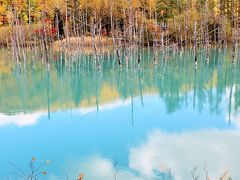 フォトジェニック美瑛☆丘を彩る秋の花♪神秘の輝き青い池♪札幌の夜はすすきのでジンギスカン「ひげのうし」