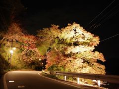 ようやく青の交響曲に乗って、青色の金峯山寺蔵王堂と紅葉ライトアップの吉野山へ