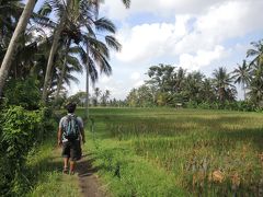 インドネシア　バリ島2018･･･（1）灌漑水路（スバック）沿いのライスフィールドトレッキング　ドリアンにルアックコーヒーも