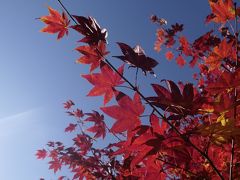 定山渓温泉（北海道：札幌）2日目紅葉：定山渓温泉月見橋付近