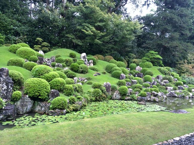 大河ドラマが終わって早一年が過ぎてしまったが、縁あって浜松に行くことになったので、井伊谷に行ってきました。<br />井伊谷、龍潭寺、井伊家の井戸など、ゆかりの地を回りました。<br />国定名勝の小堀遠州の庭園はさすがでした。<br />遠鉄ぶらりきっぷを使ってバスと電車を乗り継いで旅しました。<br />龍潭寺は小堀遠州のお庭があり、そこに座って眺めるだけで心が現れる気がします。のんびりできたのでよかったです。<br />