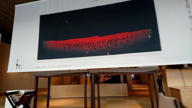 水天宮前にある、「ミュゼ浜口陽三・ヤマサコレクション」へ行ってきました。水天宮前駅から徒歩1分です。小さな美術館ですが、奇麗でした。今回は、冬の浜口陽三展をやっていたので見に行ってきました。この浜口陽三さんは、ヤマサ醤油㈱の先々代の社長の浜口儀兵衛さんの三男です。油彩、水彩、銅版画などの作品を展示していました。