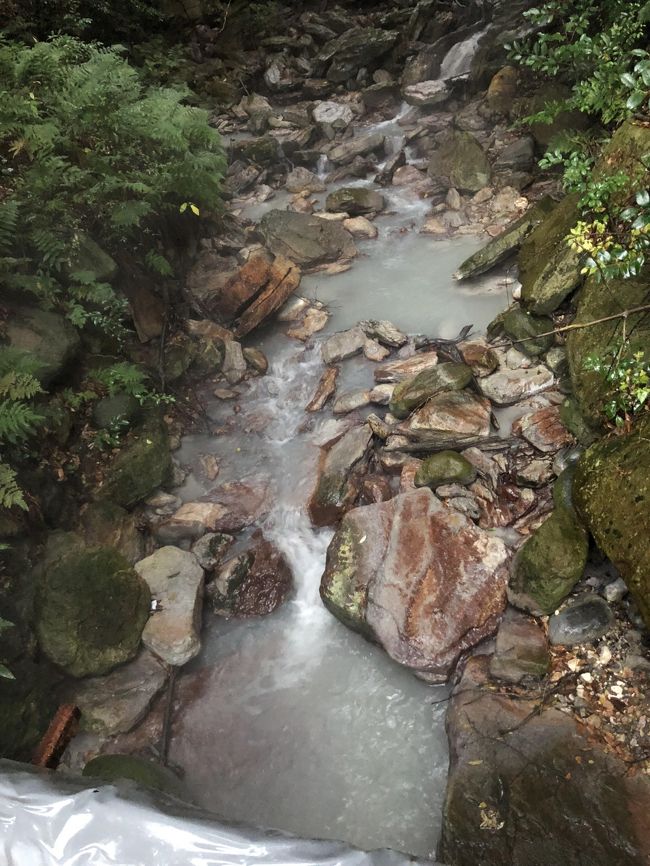 歴史好きな友人と、いつかマニアックな旅行をしよう!と始めた積立金<br />「11月に、どこか行きたい!」との要望あり~<br />維新・秘湯・グルメとくれば、もう鹿児島でしょう!<br />行きたいところが多すぎて<br />1泊2日が2泊3日になってしまった…<br />よくばりで歴史オタクな雨女と晴女の珍道中!<br />