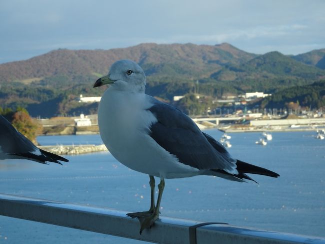 わずかでも復興応援旅行１日目