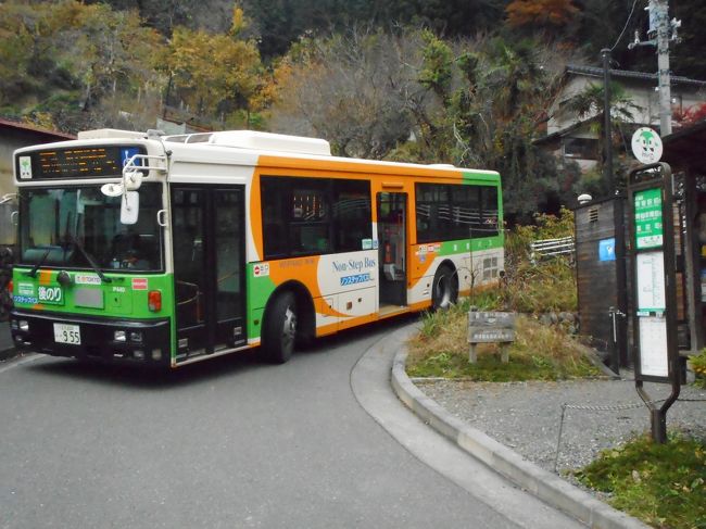 梅７４甲系統を成木市民センターで降りた後は、都バスで一番の山奥に向かう梅７６甲系統に乗りました。