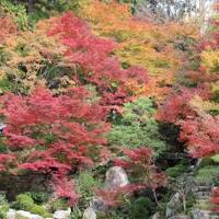 湖東・勝山・関・岐阜周遊／Day1 米原と百済寺