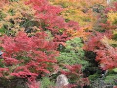 湖東・勝山・関・岐阜周遊／Day1 米原と百済寺