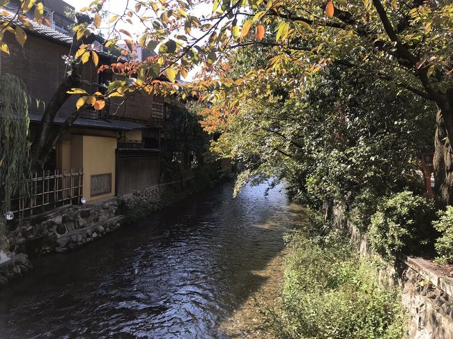2018-10-27その1 徒歩で河原町から八坂神社、ねねの道まで