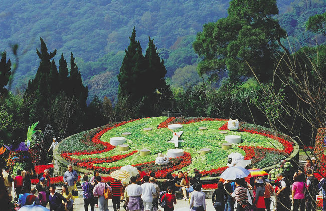 陽明山国家公園を代表するのが、季節の花々で作られた花時計である。陽明山に来たら、必ずここで写真を撮るのを忘れずに！<br />また陽明山から眺める台北市の夜景も有名だ。春のお花見、夏の避暑、秋のススキと紅葉、冬の温泉と、陽明山には季節ごとに異なる絶景、楽しみがあり、あなたが来るのを待っている。