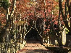 紅葉の鶏足寺2018