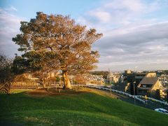 秋の清水ヶ丘公園