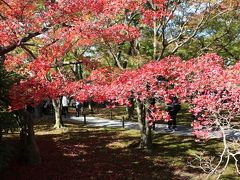 秋の京都　色づき始めの紅葉スポットを２泊３日で（１）東福寺から伏見稲荷