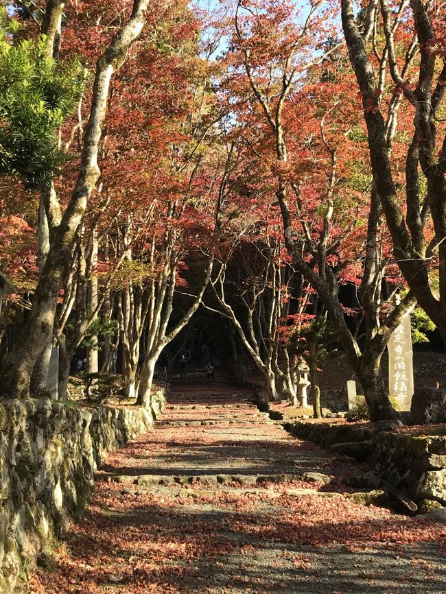 ずっと行きたかった鶏足寺。<br />紅葉シーズンは混むと聞き9時前には到着し、紅葉を楽しみました<br />ランチは木之本のすし慶さんへ。<br />