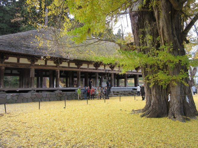 東北の紅葉は、すっかり落葉したけれど、銀杏の「黄葉」の方は、所によっては、まだ見頃のようだ。<br />朝のテレビニュースで北海道に初雪が降ったと聞いた晩秋の日、紅葉(黄葉)名所で気になっていた喜多方市の新宮熊野神社に今季最後の紅葉狩りに出掛けました。