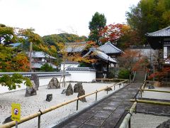 紅葉観に大宰府の「光明禅寺」に行ったけど１週間早かった【福岡天神～光明禅寺と周辺の紅葉状況編】