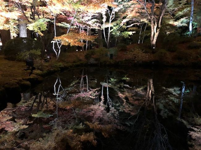 宮城 仙台紅葉ライトアップスポット巡り 秋保温泉 宮城県 の旅行記 ブログ By ワルイチョッパーさん フォートラベル