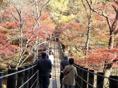 台風24号の塩害か？花貫渓谷イマイチの紅葉×お肉のグルメランチの日帰りドライブ