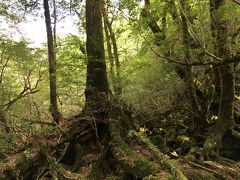 旅行記グループ 南九州の世界文化遺産 天草と自然遺産 屋久島を巡る 18年10月 全3冊 旅行のクチコミサイト フォートラベル