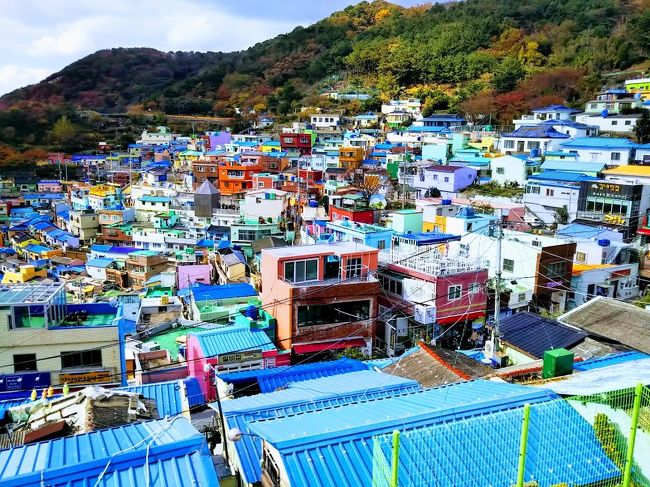 昨日の台風のような天気と一転して、今日は朝から晴天！<br />今回の旅の目的も１つ、甘川文化村に行きます。　タクシーは使わず、マウルバスにも乗って行くので、少し心配・・・。<br /><br />