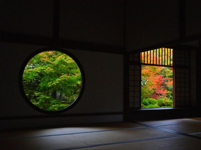 11月2回目の平日の京都　紅葉を求めて　1日目